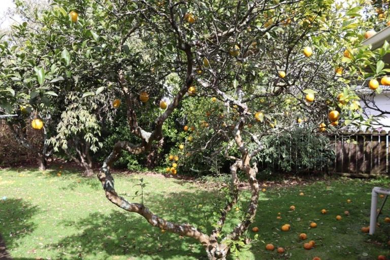 Photo of property in 97 Clevedon Road, Papakura, 2110