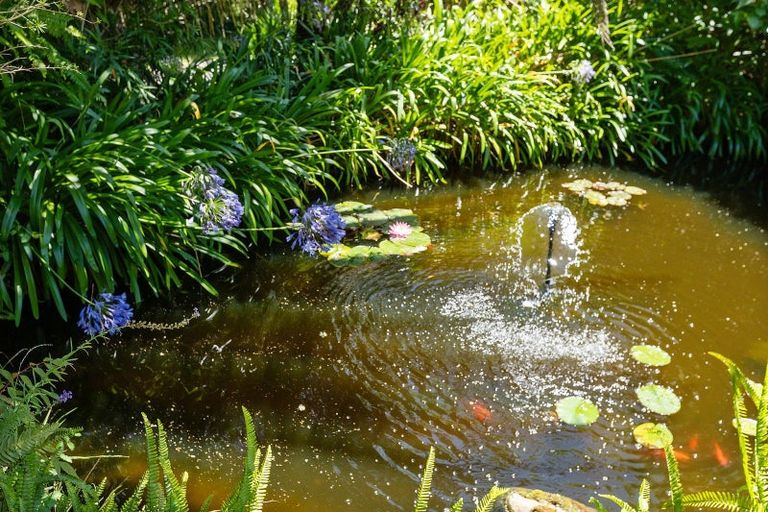 Photo of property in 61 Gilchrist Street, Te Aroha, 3320