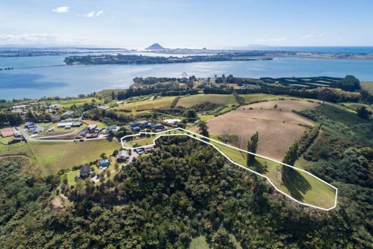Photo of property in 31 Eagleview Rise, Welcome Bay, Tauranga, 3175