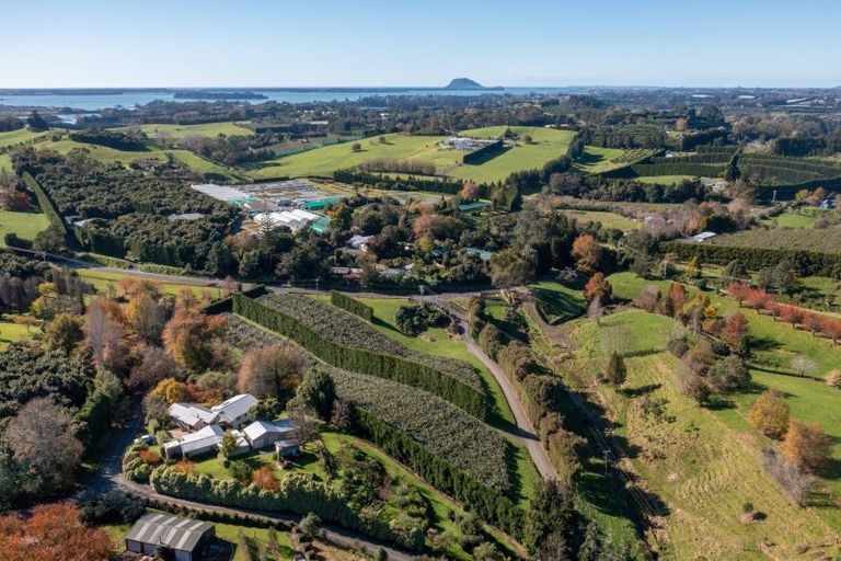 Photo of property in 394 Old Highway, Whakamarama, 3180