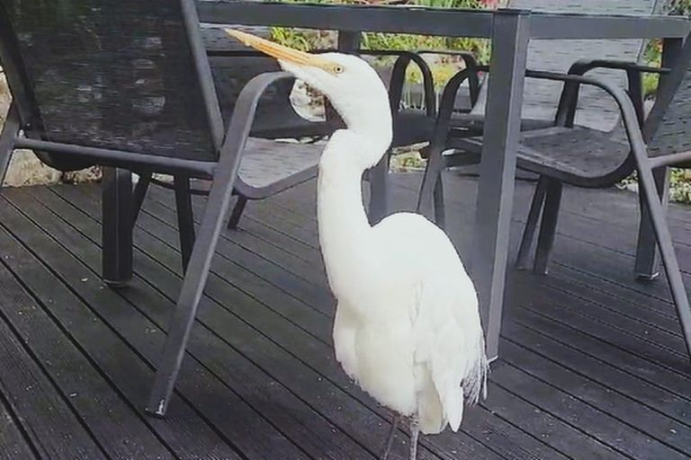 Photo of property in 115 Havill Drive, Awatuna, Hokitika, 7882