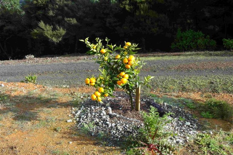 Photo of property in 458e Hihi Road, Hihi, Mangonui, 0494