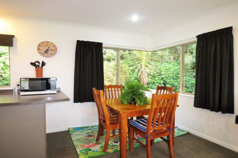 Photo of property in 91 Buckley Road, Shannon, Palmerston North, 4474