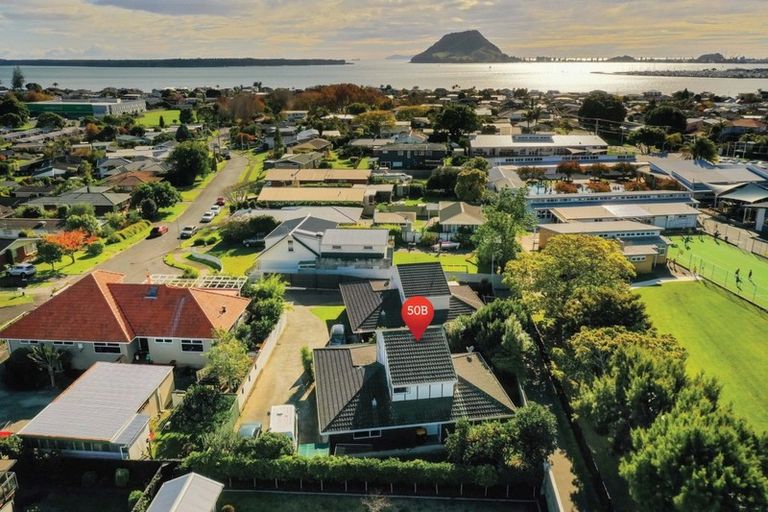 Photo of property in 50b Andrew Place, Otumoetai, Tauranga, 3110