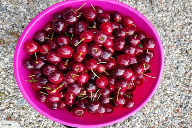 Photo of property in 11 Ettrick Road, Ettrick, Roxburgh, 9572