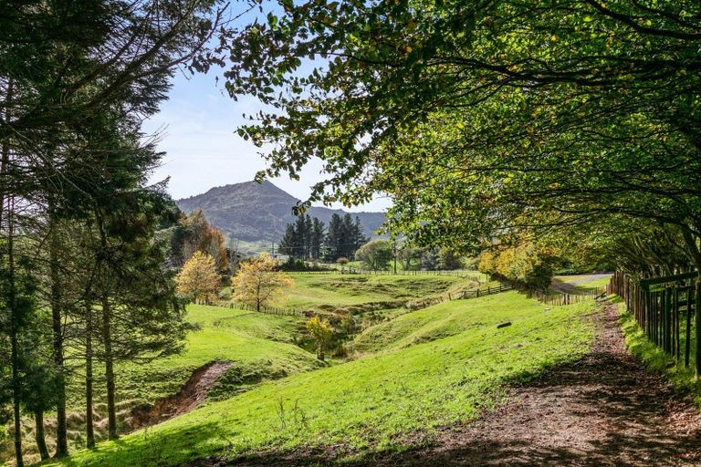 Photo of property in 6339 Matawai Road, Matawai, 4075