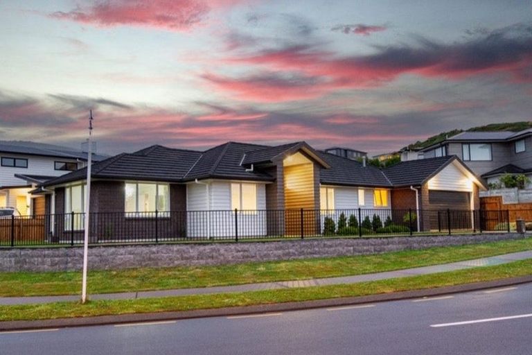 Photo of property in 81 John Burke Drive, Aotea, Porirua, 5024