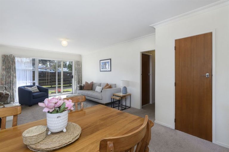 Photo of property in 16c Burrows Street, Tauranga South, Tauranga, 3112