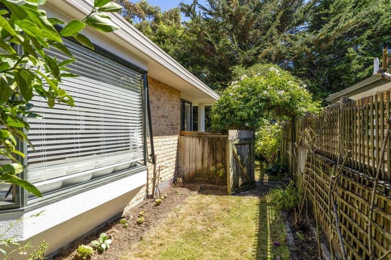 Photo of property in 71 Campbell Avenue, Paraparaumu, 5032
