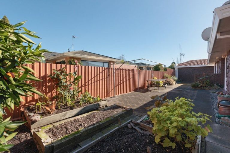 Photo of property in 738b Cameron Road, Tauranga South, Tauranga, 3112