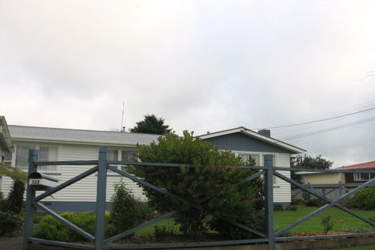 Photo of property in 123 Monrad Street, Highbury, Palmerston North, 4412