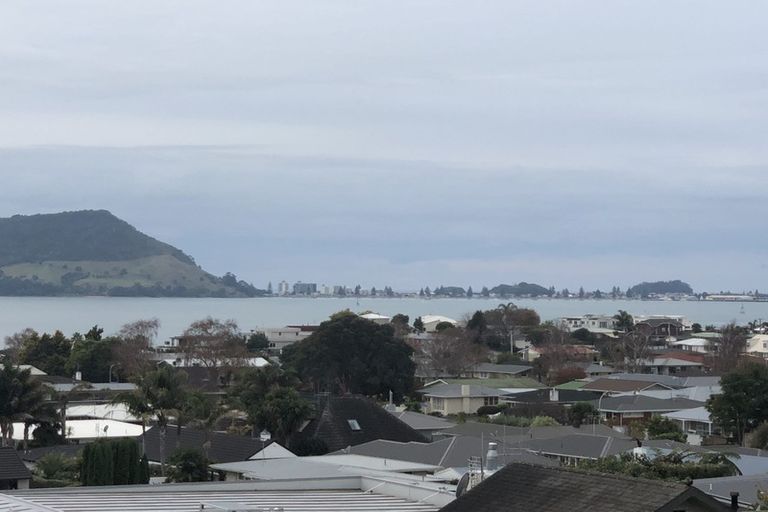 Photo of property in 21 Norton Road, Otumoetai, Tauranga, 3110