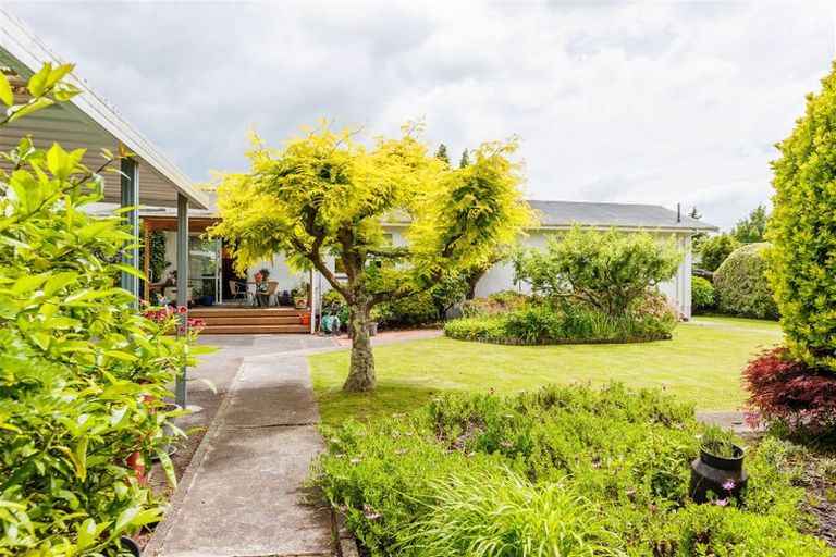 Photo of property in 13 Miro Street, Lansdowne, Masterton, 5810
