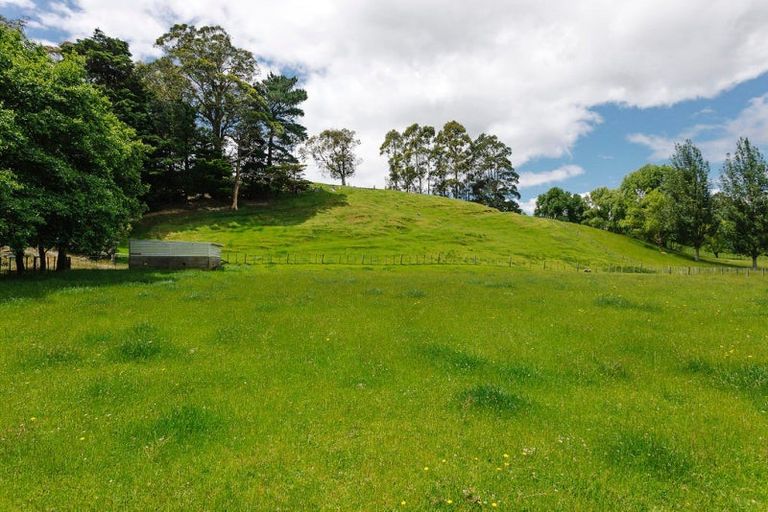 Photo of property in 148 Tipapakuku Road, Dannevirke, 4930