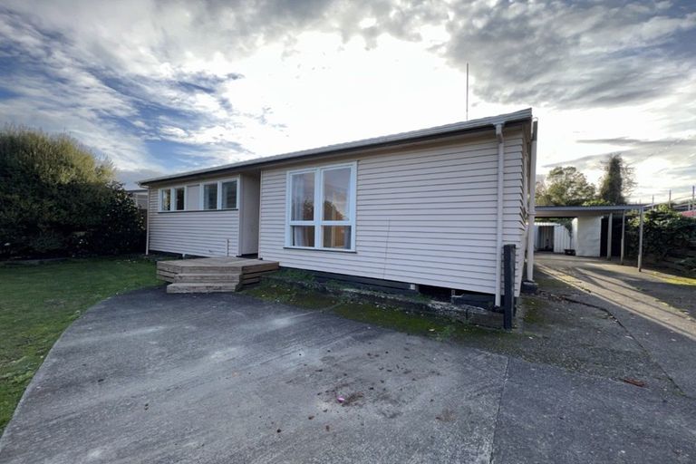 Photo of property in 111 Limbrick Street, Terrace End, Palmerston North, 4410