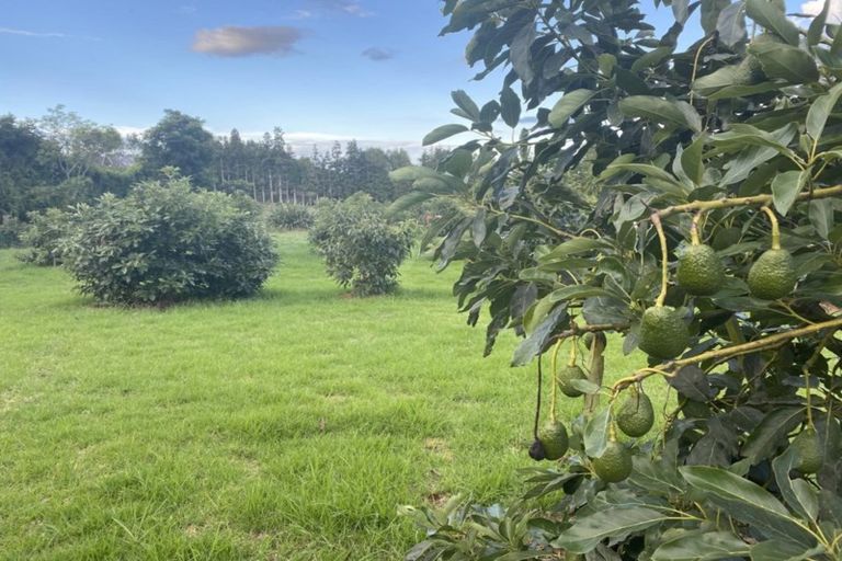 Photo of property in 109a Plummer Road, Whakamarama, Tauranga, 3179