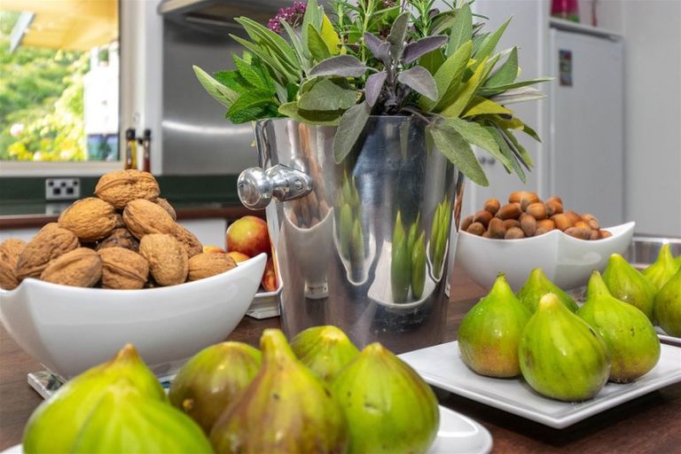 Photo of property in 112 Odwyers Road, Rapaura, Blenheim, 7273