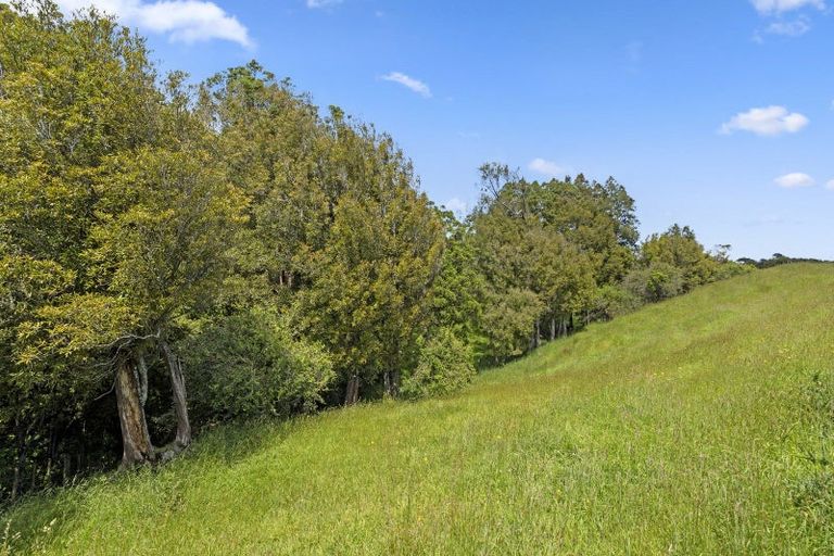 Photo of property in 25 Ryland Park, Levin, 5575