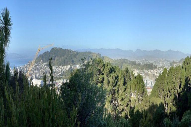 Photo of property in 3 Asquith Terrace, Brooklyn, Wellington, 6021