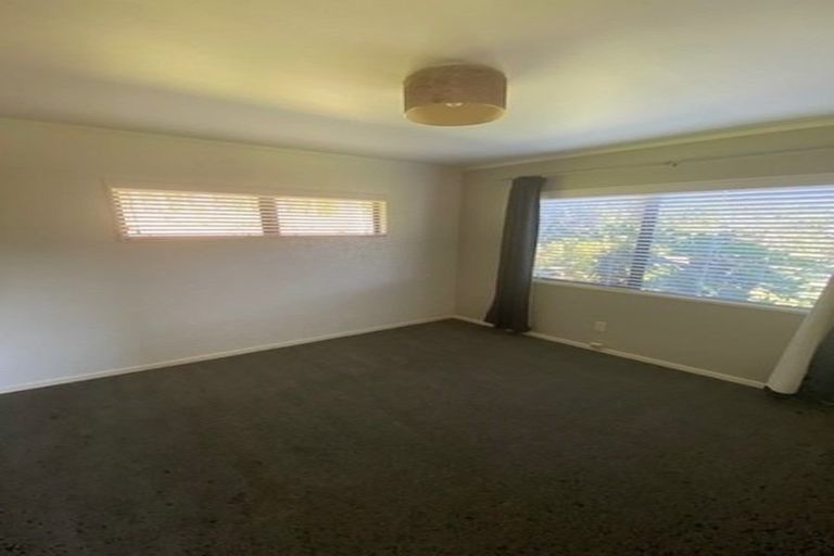 Photo of property in 374 Youngson Road, Whakamarama, Tauranga, 3179