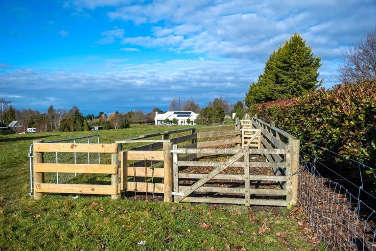 Photo of property in 41 Kalaugher Road, Geraldine Downs, Geraldine, 7991