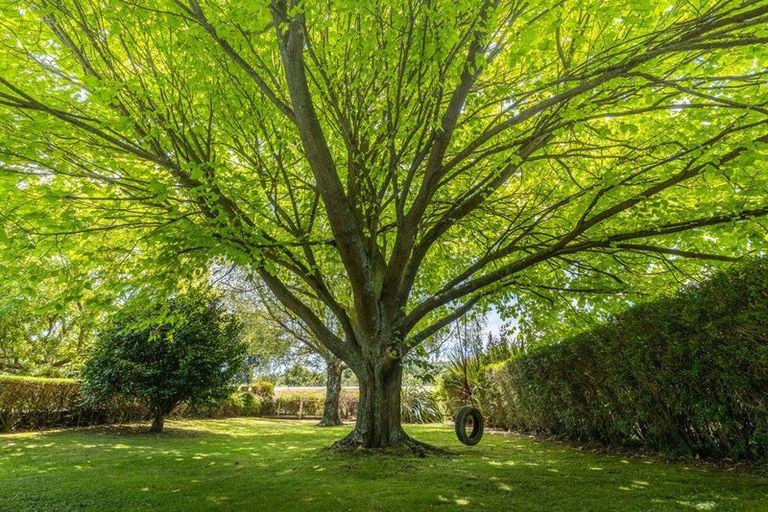 Photo of property in 1091 Halcombe Road, Halcombe, Feilding, 4779