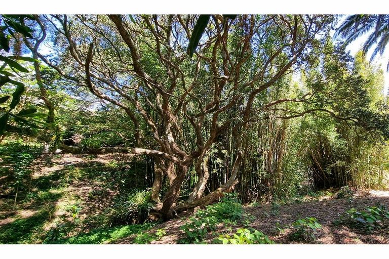 Photo of property in 57 Hauraki Road, Leigh, Warkworth, 0985