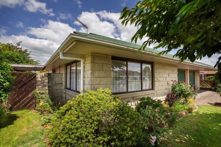 Photo of property in 19 Ngaio Street, Matamata, 3400