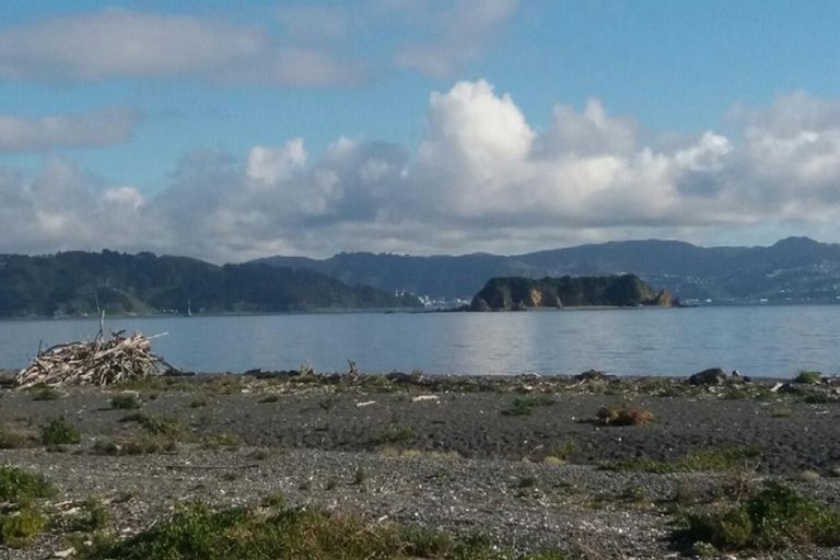 Photo of property in 37 Pukatea Street, Eastbourne, Lower Hutt, 5013