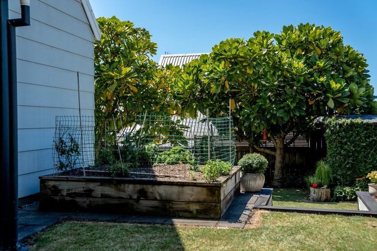 Photo of property in 17a Bellfield Place, Bethlehem, Tauranga, 3110