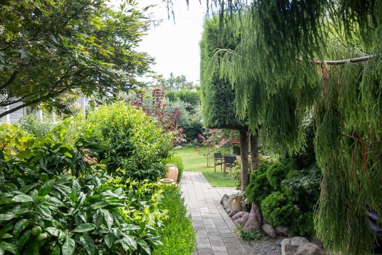 Photo of property in 29 Cameron Road, Bluff Hill, Napier, 4110