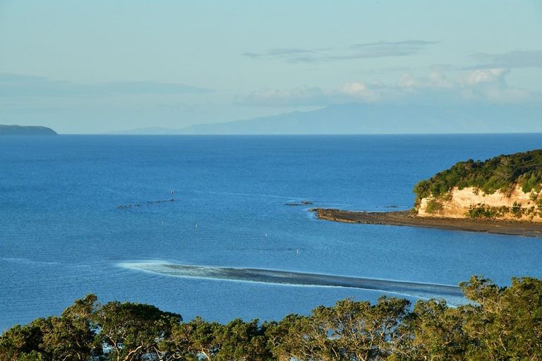 Photo of property in 107 Ahumoana Road, Okura Bush, Silverdale, 0794