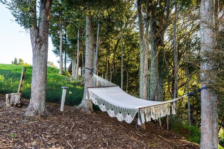 Photo of property in 50 Acacia Drive, Raumanga, Whangarei, 0110