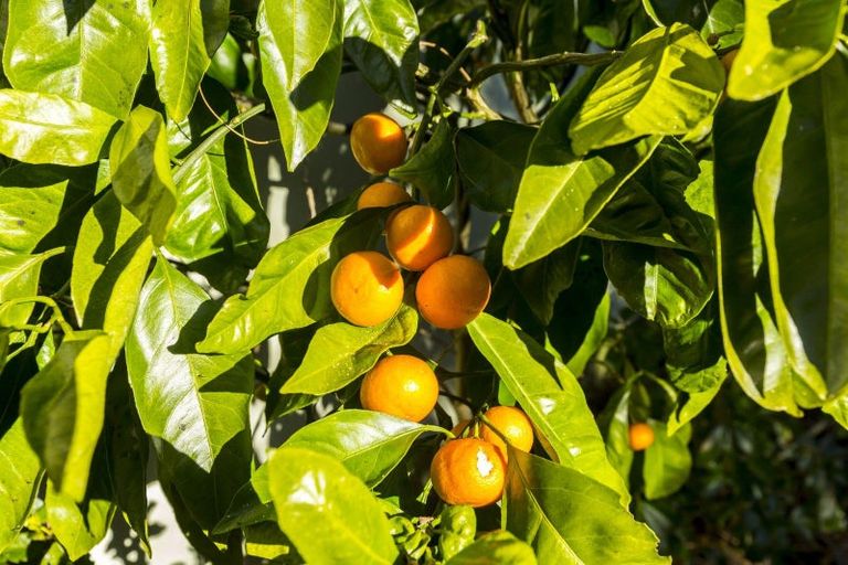 Photo of property in 10a Stephen Street, Trentham, Upper Hutt, 5018