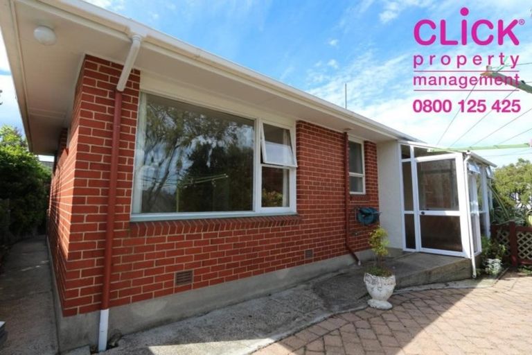 Photo of property in 59 Mailer Street, Mornington, Dunedin, 9011