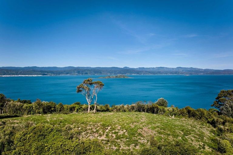 Photo of property in 50 Dungarvan Road, Newlands, Wellington, 6037