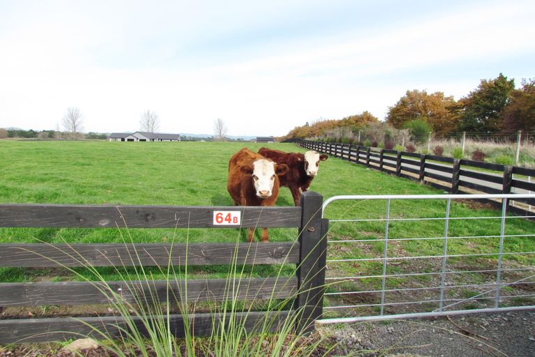 Photo of property in 64b Opaki Kaiparoro Road, Opaki, 5871