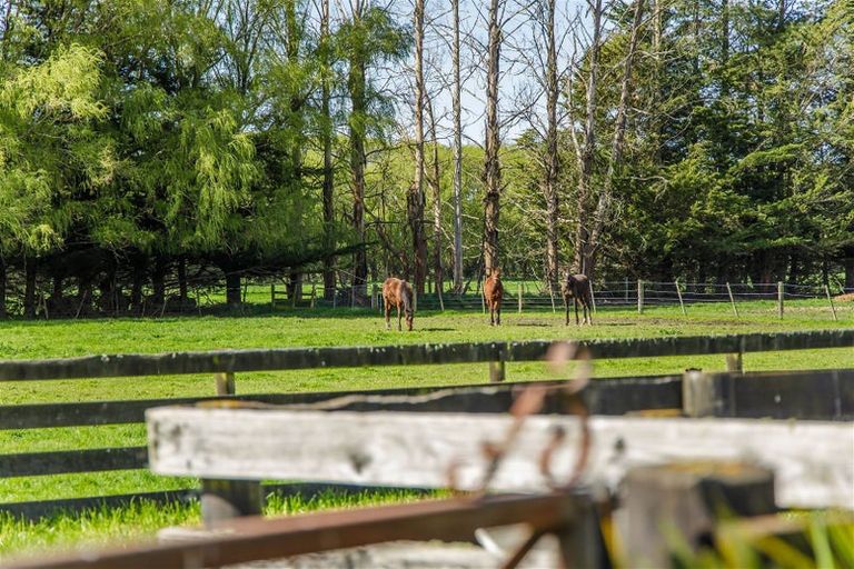 Photo of property in 78 Skewbridge Road, Flaxton, Kaiapoi, 7691