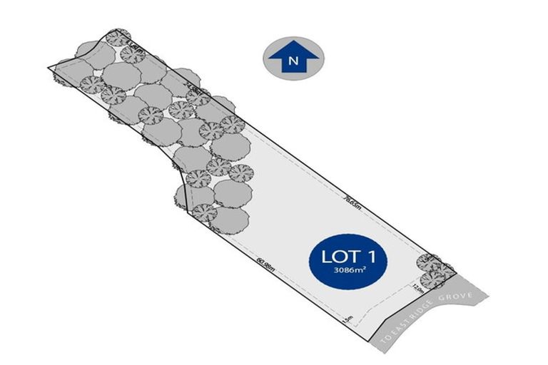 Photo of property in 12b East Ridge Grove, Newstead, Hamilton, 3286