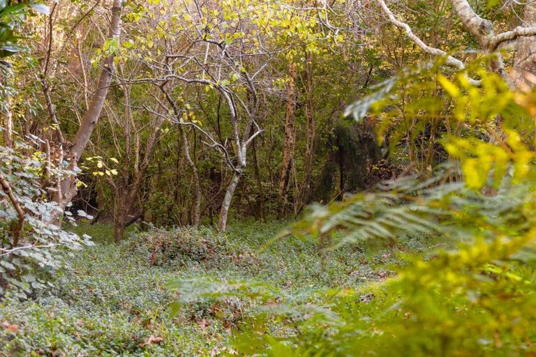 Photo of property in 60 Leinster Avenue, Raumati South, Paraparaumu, 5032