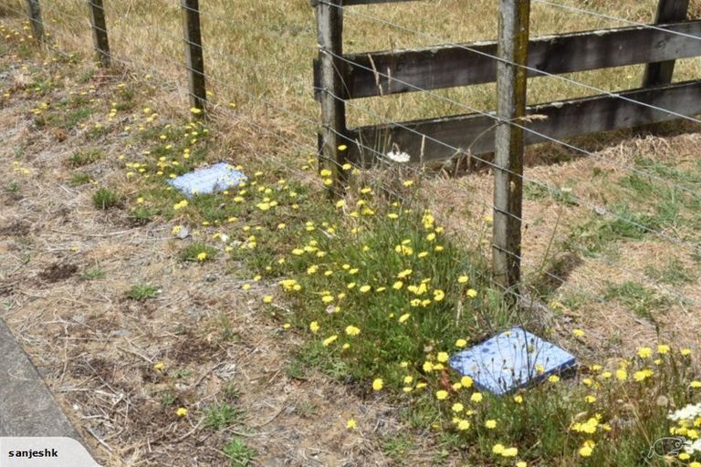 Photo of property in 37 Kaka Street, Taupo, 3330