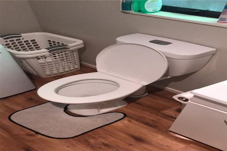 Photo of property in 9 Shale Avenue, Massey, Auckland, 0614