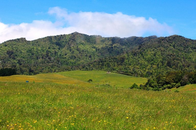 Photo of property in 696b Te Hutewai Road, Raglan, 3296