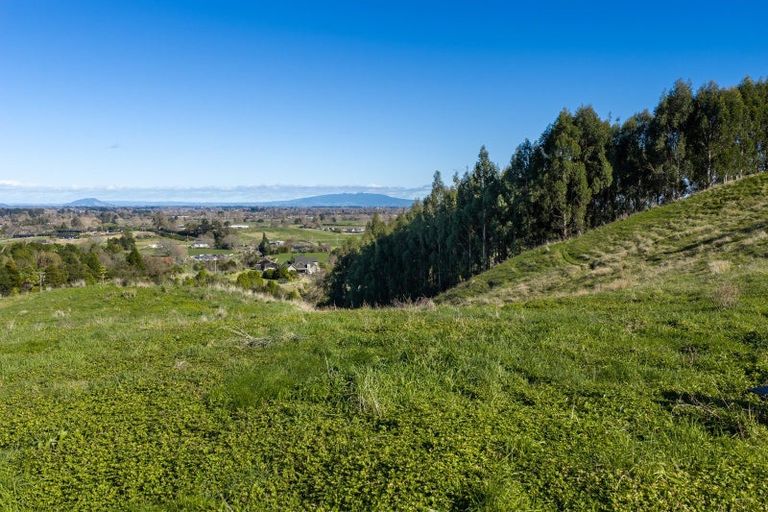 Photo of property in 265 Maungakawa Road, Cambridge, 3496