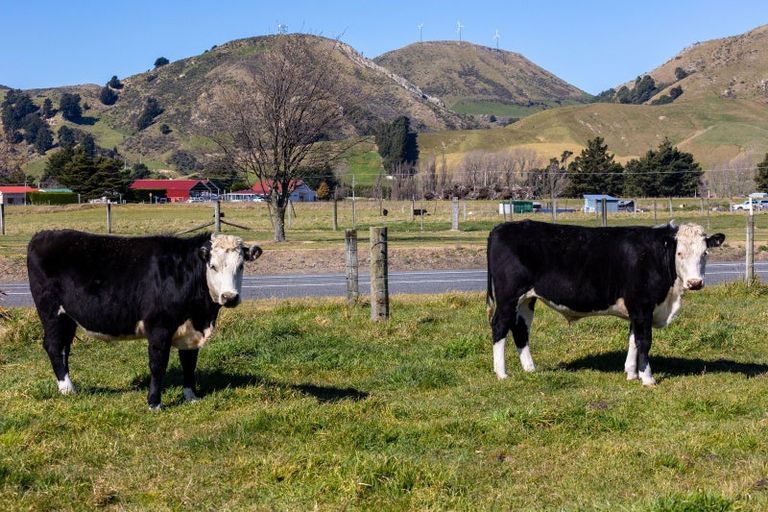 Photo of property in 63 Tachalls Road, Ward, Seddon, 7285