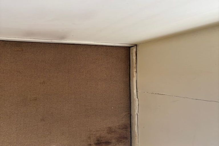 Photo of property in 59c Astley Avenue, New Lynn, Auckland, 0600