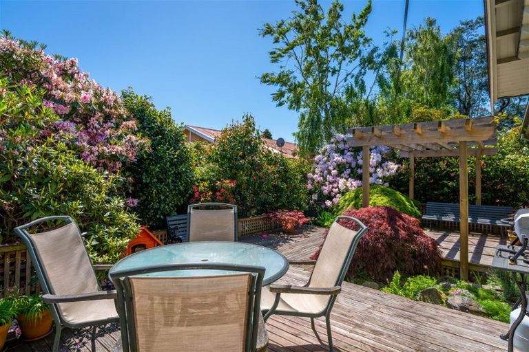 Photo of property in 17 Parsonage Road, Waimate, 7924