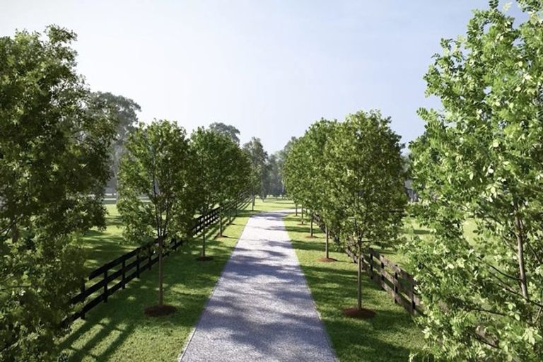 Photo of property in 13 Beal Place, Swannanoa, 7692