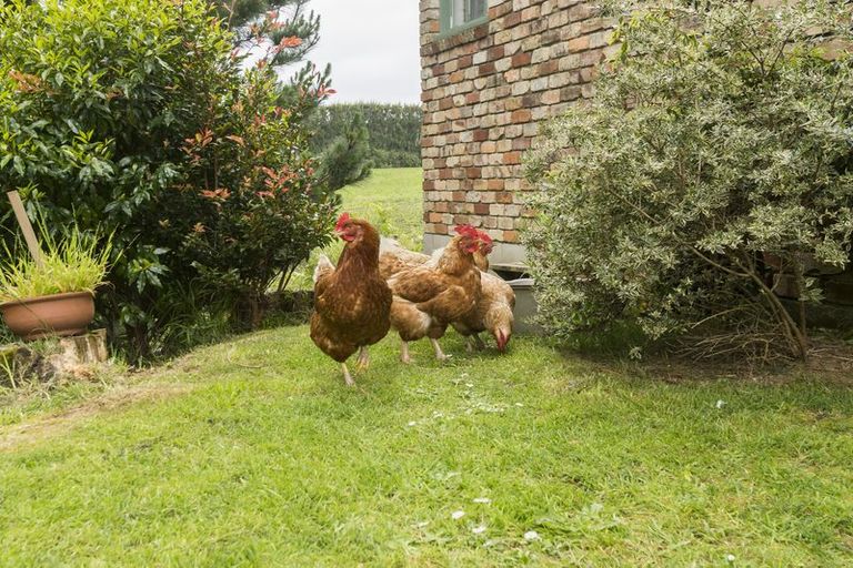 Photo of property in 289 Wright Road, Aongatete, Katikati, 3181