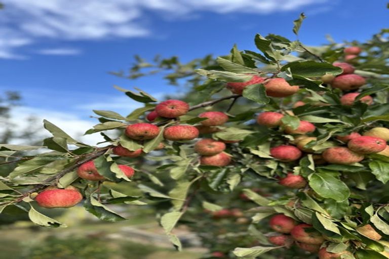 Photo of property in 44 Golf Road, Wakefield, 7025